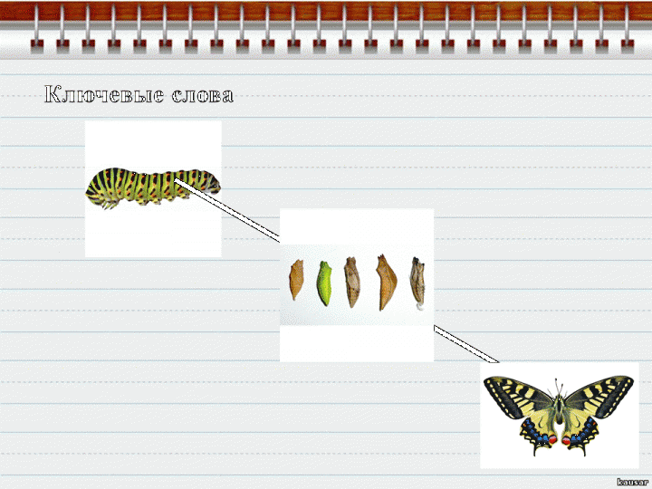 Скаффолдинг