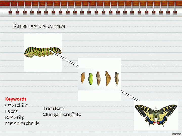 Скаффолдинг